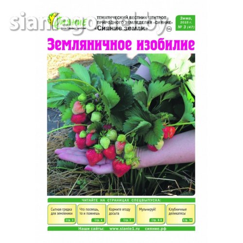Газета "Как выращивать клубнику", 16 страниц