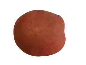 ЖУРАВИНКА (картофель семенной)