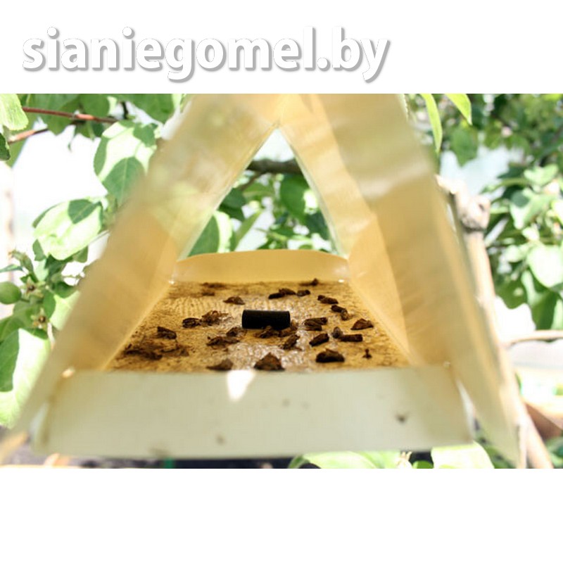 ФЕРОМОННАЯ ЛОВУШКА для яблоневой плодожорки