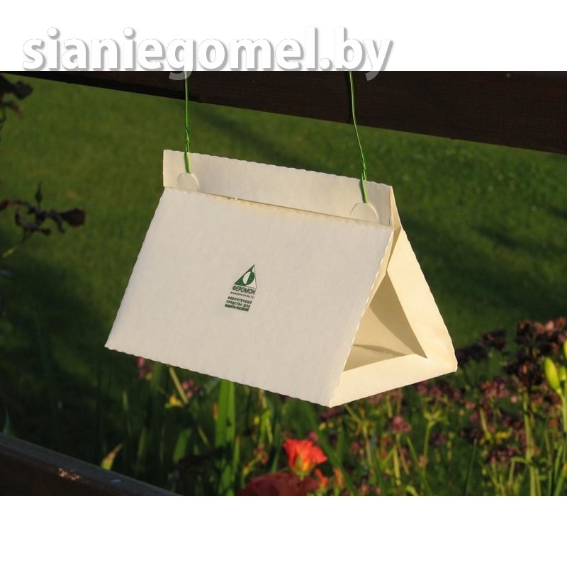 ФЕРОМОННАЯ ЛОВУШКА для сливовой плодожорки