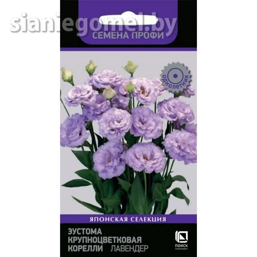 Эустома Корелли F1 Лавендер крупноцветковая