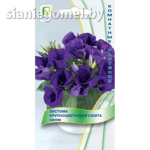 Эустома Сюита Лиловая крупноцветковая