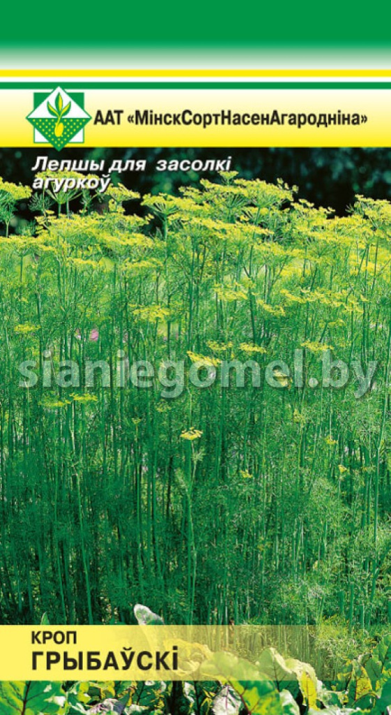 УКРОП ГРИБОВСКИЙ