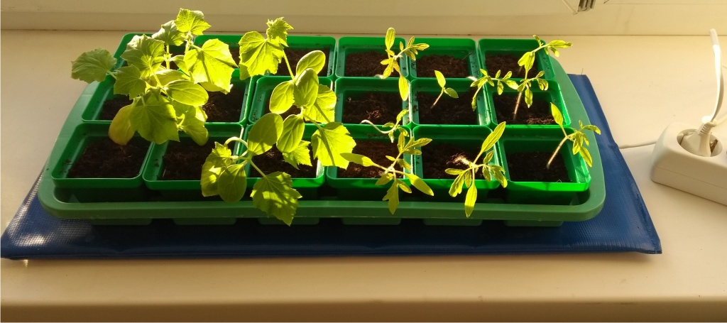 Электроподогреватель для рассады