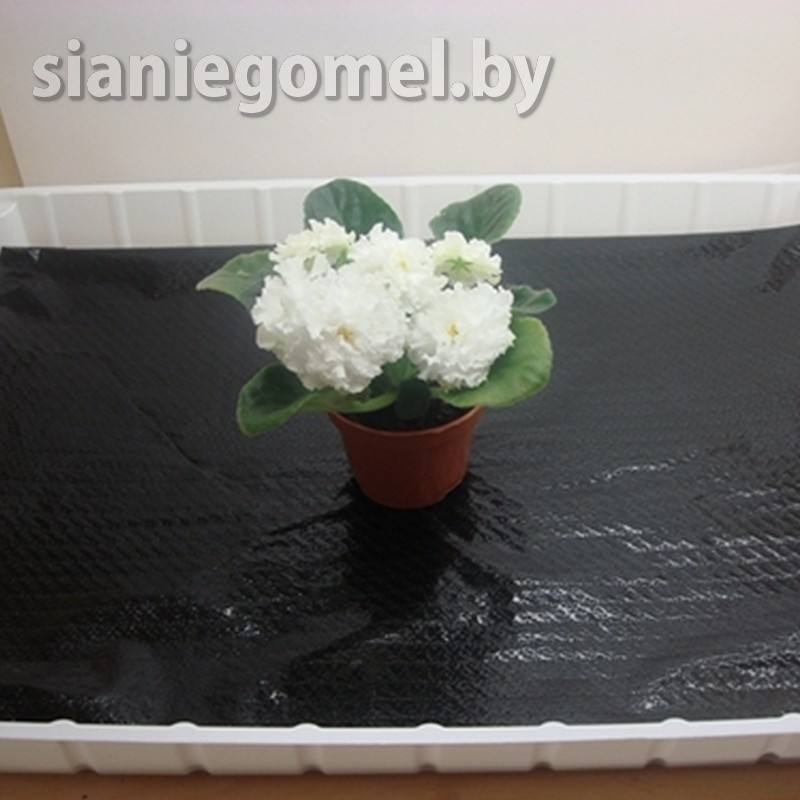 КАППИЛЯРНЫЙ МАТ