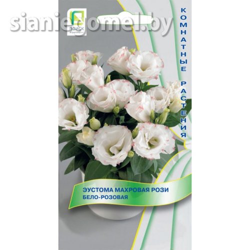 Эустома махровая Рози Бело-розовая