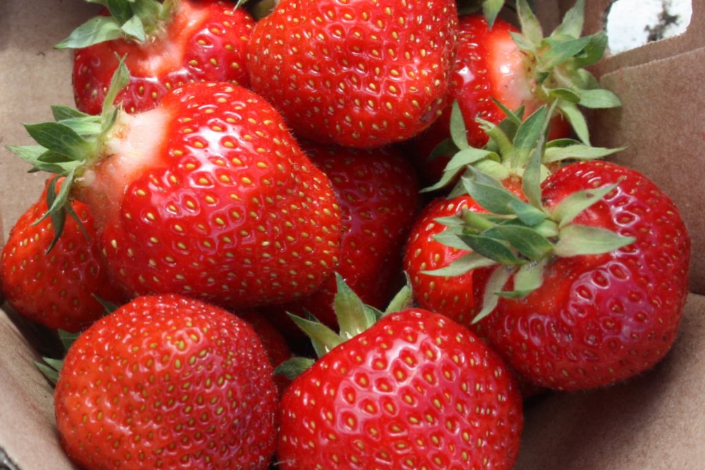 Соната Клубника Соната