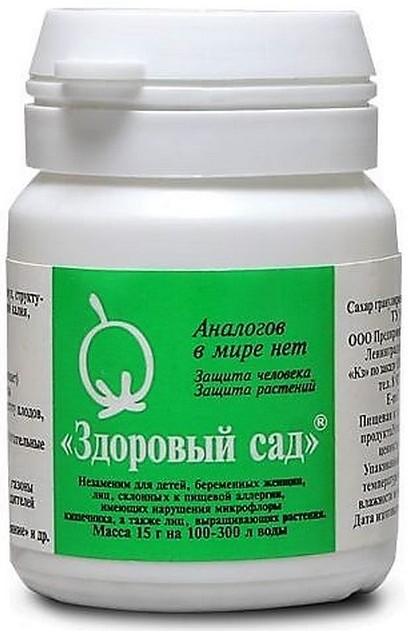 Здоровый сад Здоровый сад