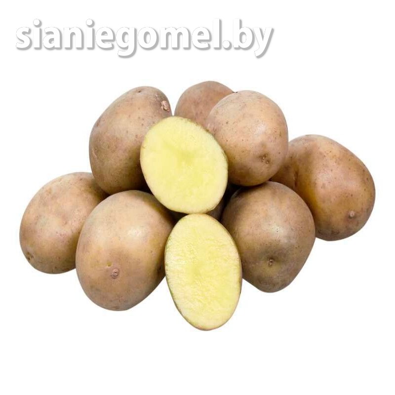 уладар картофель уладар