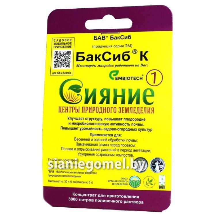 Сияние-1 Сияние-1