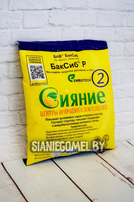 Сияние-2