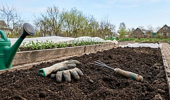 Подготовка почвы к сезону - пошаговый план на март