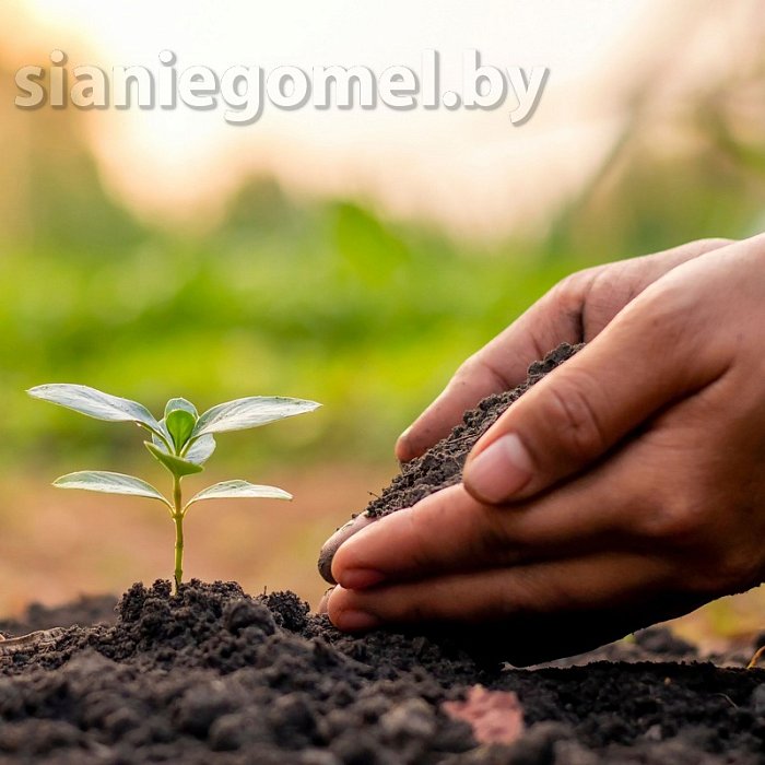 Как правильно приготовить или выбрать почву для выращивания рассады